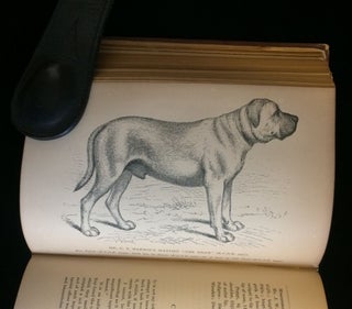 British dogs, their varieties, history, characteristics, breeding, management, and exhibition illustrated with portraits of dogs of the day .