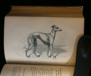 British dogs, their varieties, history, characteristics, breeding, management, and exhibition illustrated with portraits of dogs of the day .