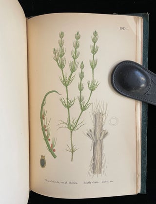 ENGLISH BOTANY; OR, COLOURED FIGURES OF BRITISH PLANTS (13 volume set)
