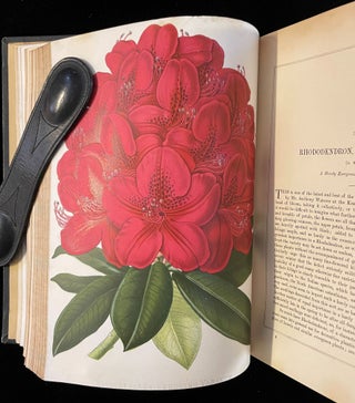 Item #011371 PAXTON'S FLOWER GARDEN. Professor Lindley, Thomas Sir Joseph Paxton. Baines, revised by