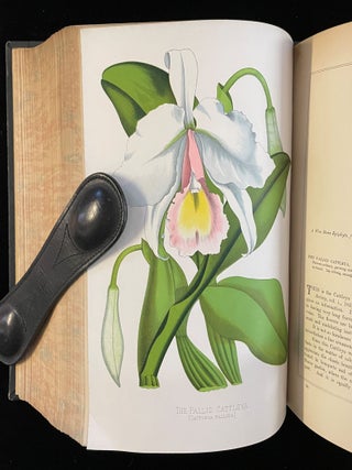 PAXTON'S FLOWER GARDEN