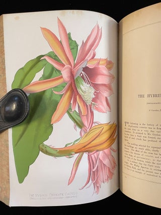 PAXTON'S FLOWER GARDEN