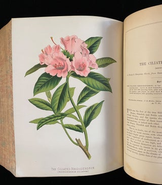 PAXTON'S FLOWER GARDEN