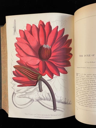 PAXTON'S FLOWER GARDEN