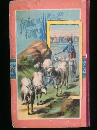 PICTURES AND STORIES FROM NATURAL HISTORY (children's animal book)