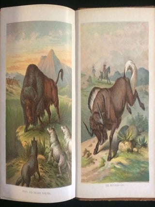 PICTURES AND STORIES FROM NATURAL HISTORY (children's animal book)