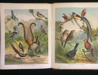 PICTURES AND STORIES FROM NATURAL HISTORY (children's animal book)