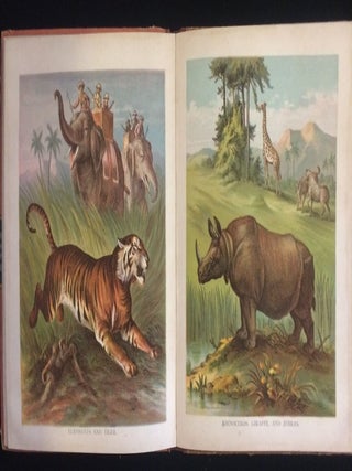 PICTURES AND STORIES FROM NATURAL HISTORY (children's animal book)