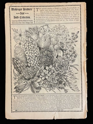 FLORAL GEMS FOR WINTER FLOWERING AUTUMN 1898