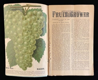 GREEN'S FRUIT GROWER: THE GRAPE