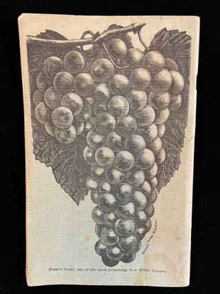 GREEN'S FRUIT GROWER: THE GRAPE