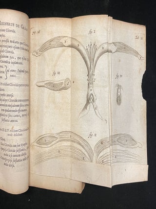De mulierum organis generationi inservientibus tractatus novus