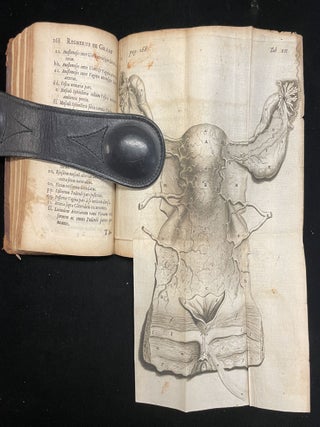 De mulierum organis generationi inservientibus tractatus novus