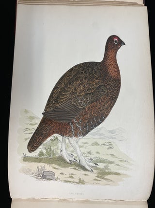 Item #013332 BRITISH GAME BIRDS AND WILDFOWL. Beverley. Robinson Fawcett Morris, B