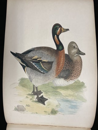 BRITISH GAME BIRDS AND WILDFOWL
