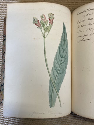 MEMORANDA OF CURTIS'S BOTANICAL MAGAZINE 1822 - c1832
