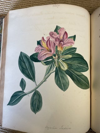 MEMORANDA OF CURTIS'S BOTANICAL MAGAZINE 1822 - c1832
