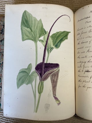 MEMORANDA OF CURTIS'S BOTANICAL MAGAZINE 1822 - c1832