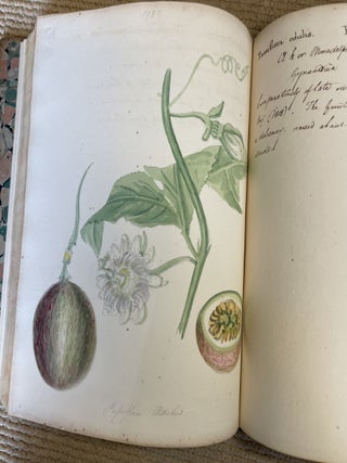 MEMORANDA OF CURTIS'S BOTANICAL MAGAZINE 1822 - c1832