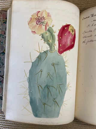 MEMORANDA OF CURTIS'S BOTANICAL MAGAZINE 1822 - c1832