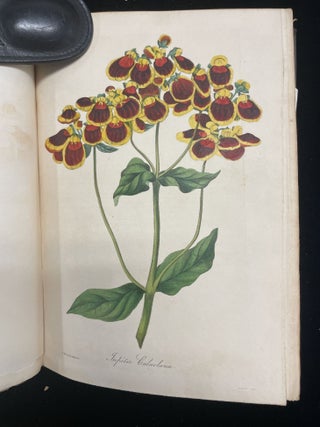 Item #013488 Paxton's Magazine of Botany, and Register of Flowering Plants. (Volume 2). J. Paxton