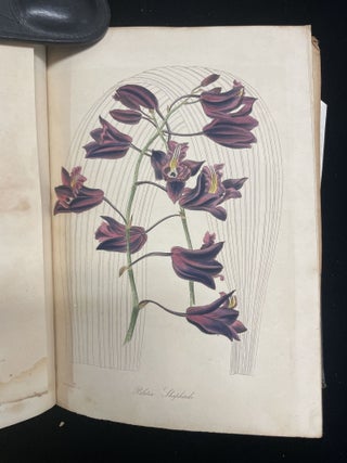 Paxton's Magazine of Botany, and Register of Flowering Plants. (Volume 2)