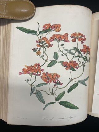 Paxton's Magazine of Botany, and Register of Flowering Plants. (Volume 2)