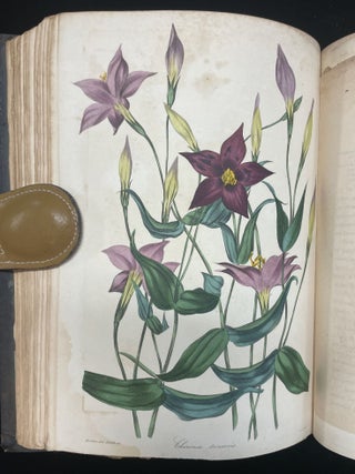 Paxton's Magazine of Botany, and Register of Flowering Plants. (Volume 3)