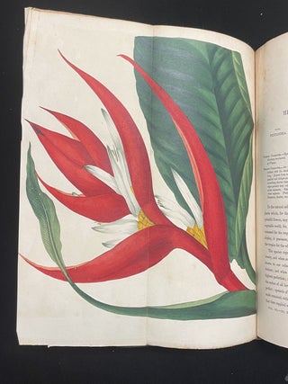 Paxton's Magazine of Botany, and Register of Flowering Plants. (Volume 3)
